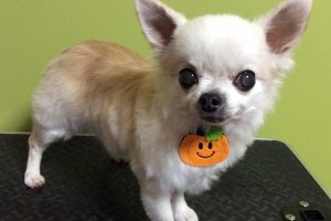 10月のお友達☆