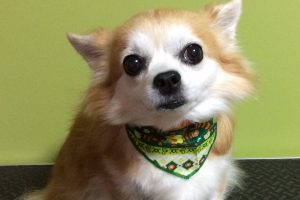 10月のお友達☆