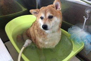 10月のお友達☆