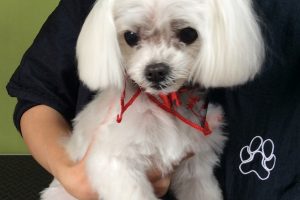 10月のお友達☆