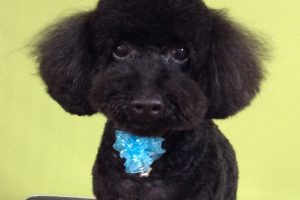 10月のお友達☆