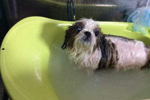 10月のお友達☆