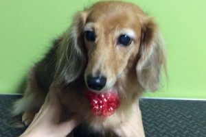 10月のお友達☆