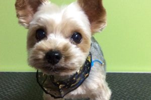 10月のお友達☆