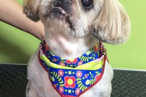 10月のお友達☆