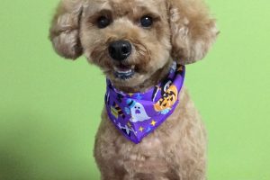 10月のお友達☆