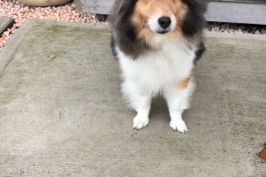 10月のお友達☆