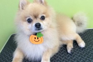 10月のお友達☆