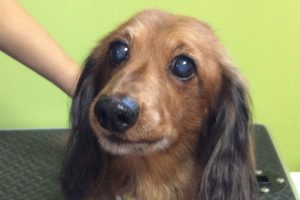 10月のお友達☆