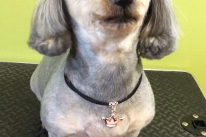 10月のお友達☆