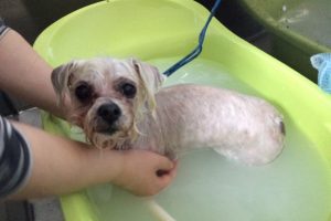 10月のお友達☆