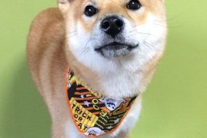 10月のお友達☆