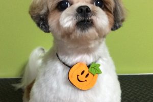 10月のお友達☆