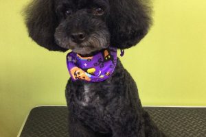 10月のお友達☆