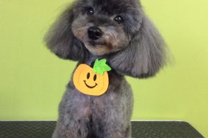 10月のお友達☆