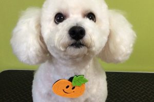 10月のお友達☆