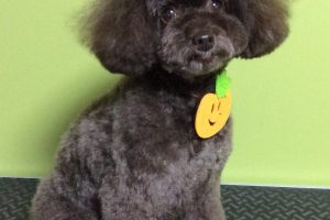 10月のお友達☆