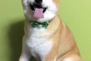 10月のお友達☆