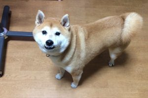 10月のお友達☆