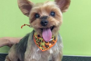 10月のお友達☆