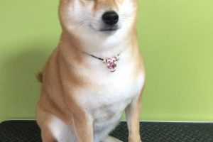 10月のお友達☆