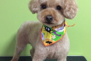 10月のお友達☆