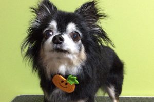 10月のお友達☆