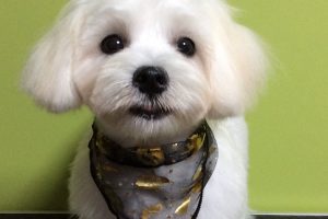 10月のお友達☆