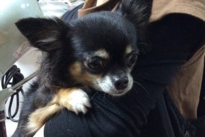 10月のお友達☆