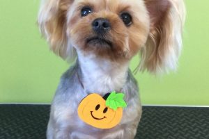 10月のお友達☆