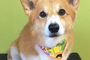 10月のお友達☆