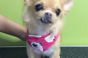 10月のお友達☆