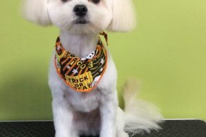 10月のお友達☆