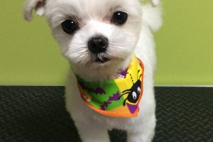 10月のお友達☆