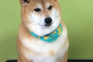 11月のお友達☆