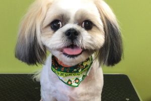 11月のお友達☆