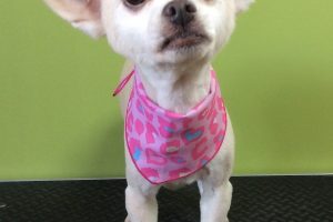 11月のお友達☆