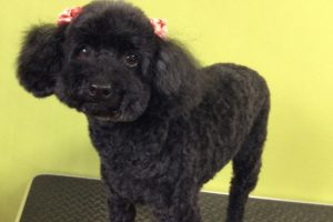 11月のお友達☆