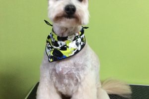 11月のお友達☆