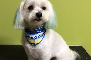 11月のお友達☆