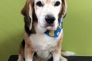 11月のお友達☆