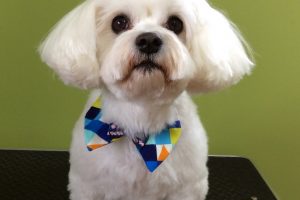 11月のお友達☆