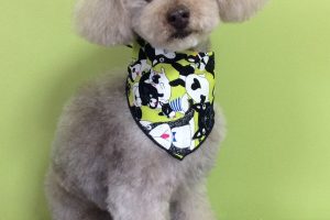 11月のお友達☆