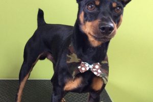 11月のお友達☆