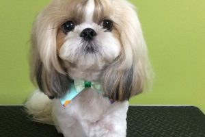 11月のお友達☆