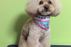 11月のお友達☆