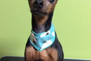 11月のお友達☆