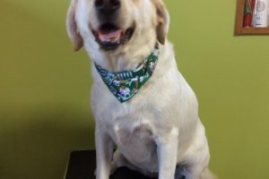 11月のお友達☆