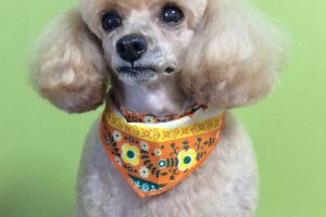 11月のお友達☆