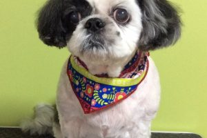 11月のお友達☆